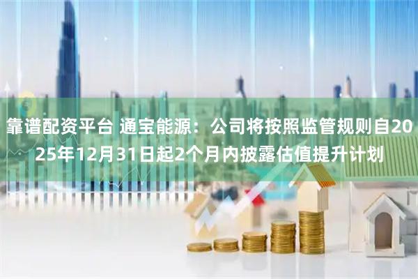 靠谱配资平台 通宝能源：公司将按照监管规则自2025年12月31日起2个月内披露估值提升计划