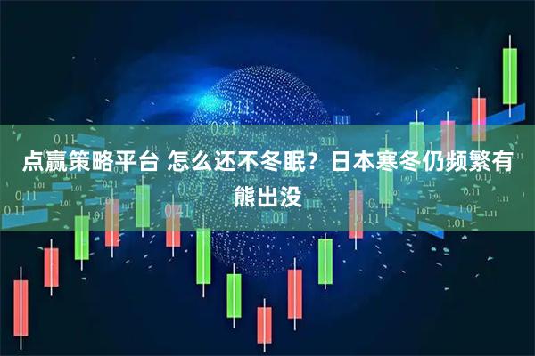 点赢策略平台 怎么还不冬眠？日本寒冬仍频繁有熊出没